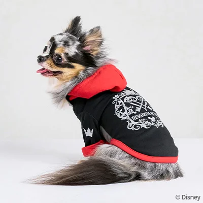 File:Sora dog wear 01 KH&P.png