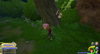 The Forest / Hills: In front of a tree near the Tower entrance.