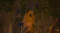 Powerwilds attack the Woods in the cutscene "A Forager in Distress".