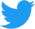 Twitter icon.png