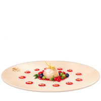 Berries au Fromage KHIII.png